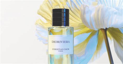 dior vieira|dior dioriviera price.